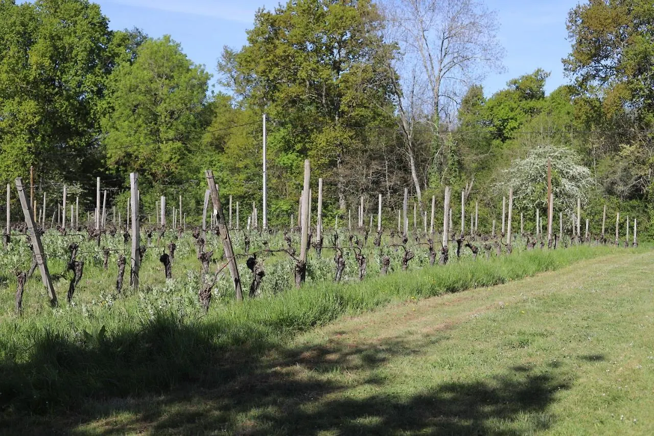 Dom wakacyjny Gites At Le Prielle Madiran